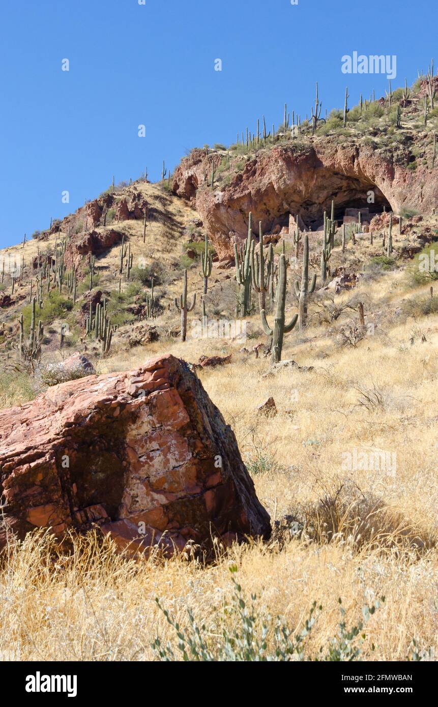 Pueblo Cliff Dwelling, monumento nazionale di Tonto in Arizona. Foto Stock