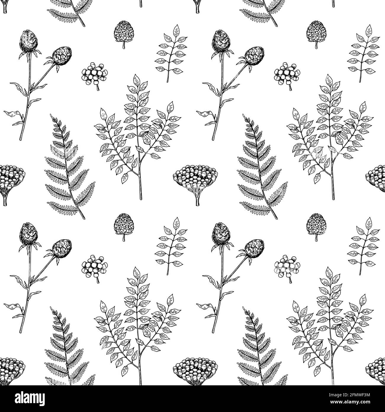 Motivo botany senza cuciture disegnato a mano con felce e burdock. Illustrazione vettoriale nello stile di schizzo Illustrazione Vettoriale