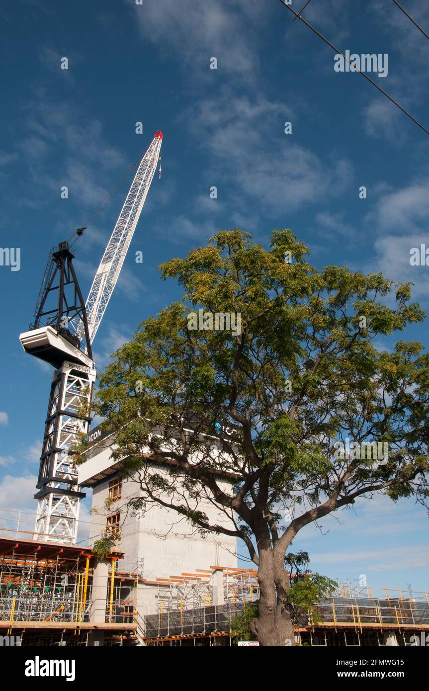 Gru di grandi dimensioni che lavora nel cantiere per un'assistenza di 9 piani e sviluppo medico, South Caulfield, Melbourne, Australia Foto Stock