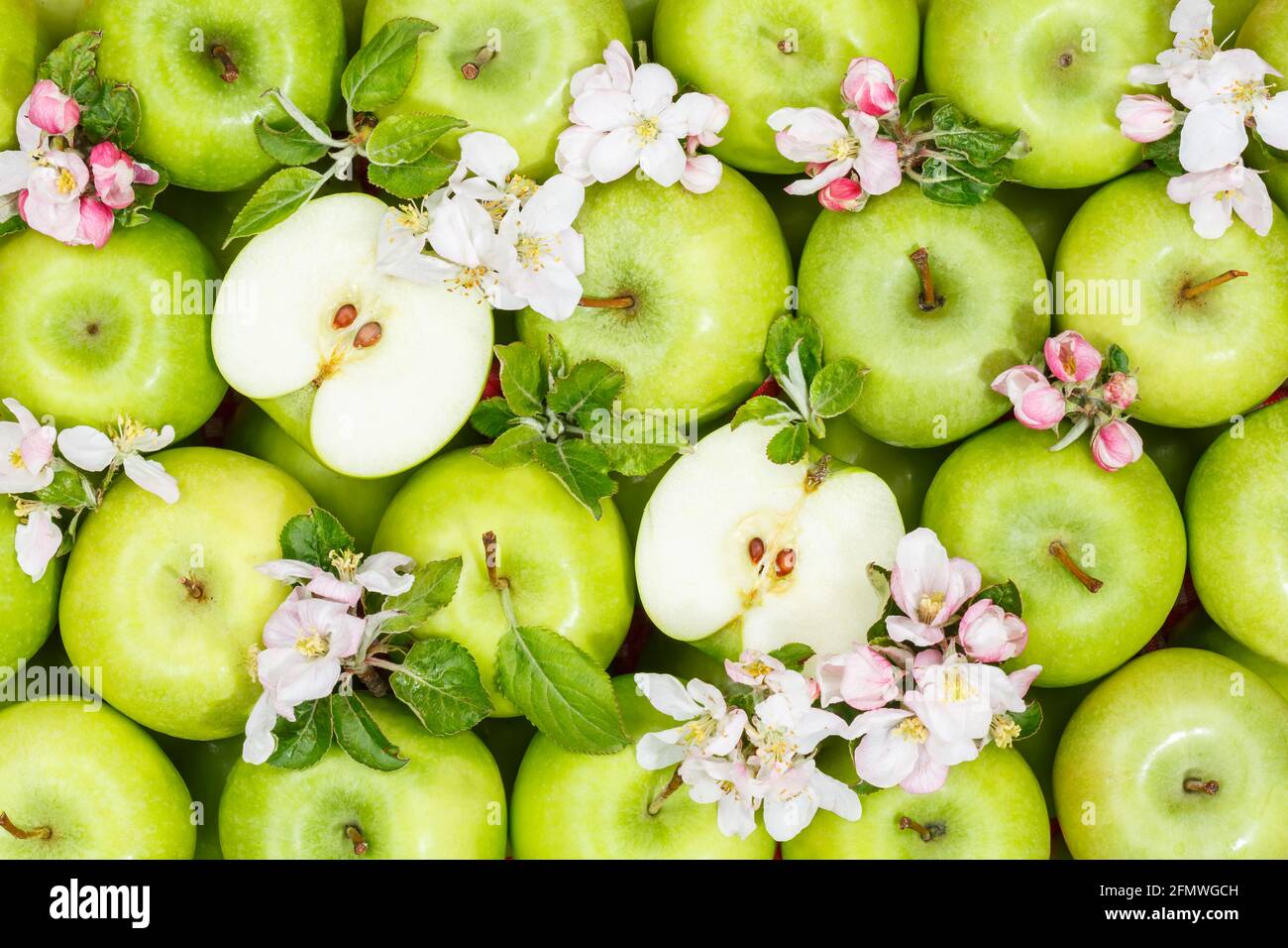 Mele frutta verde mela sfondo con foglie e fiori cibo Foto Stock