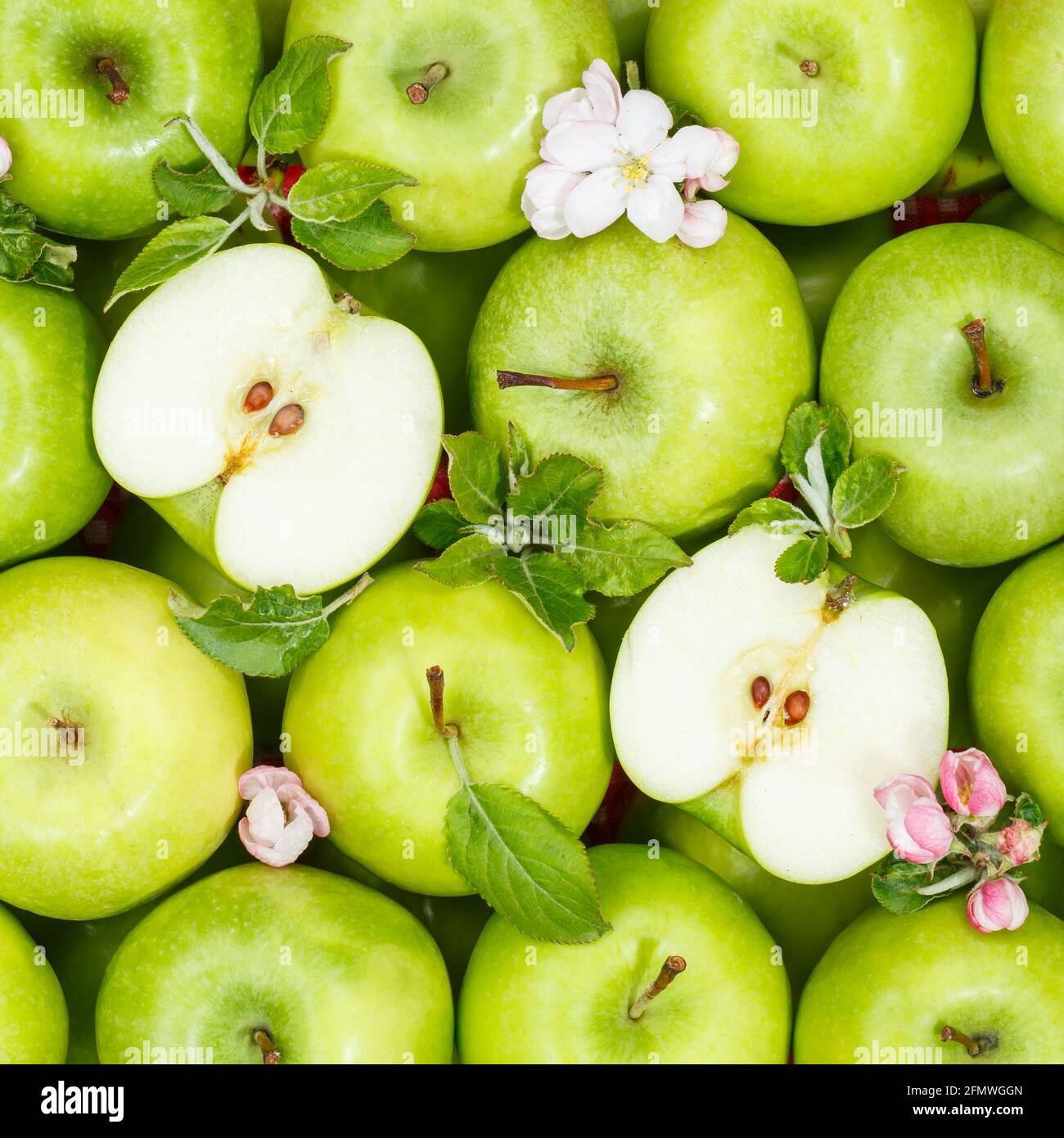 Mele frutta verde mela frutta sfondo quadrato con foglie e. fiorisce cibo Foto Stock