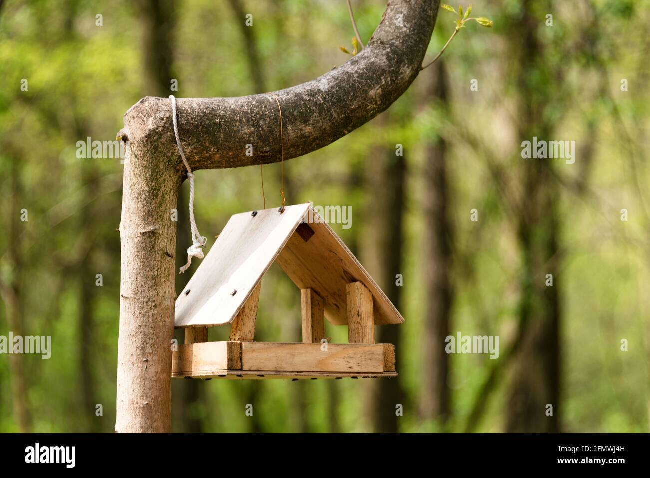 Birdhouse o alimentatore di uccelli appesi sull'albero nel parcheggio Foto Stock