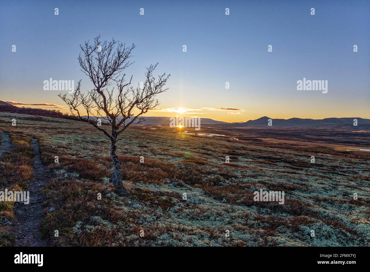 Umore serale su Pilgrimsleden a fine autunno. Percorso del pellegrino, Dombås, Dovre Nationalpark, Innlandet, Norvegia Foto Stock