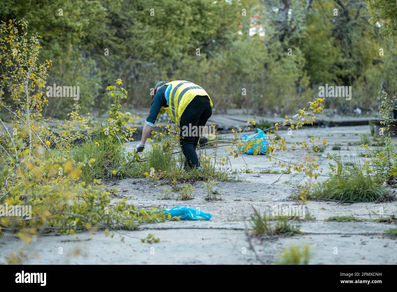 i volontari puliscono il parco cittadino o la foresta da lettiere di plastica e spazzatura Foto Stock