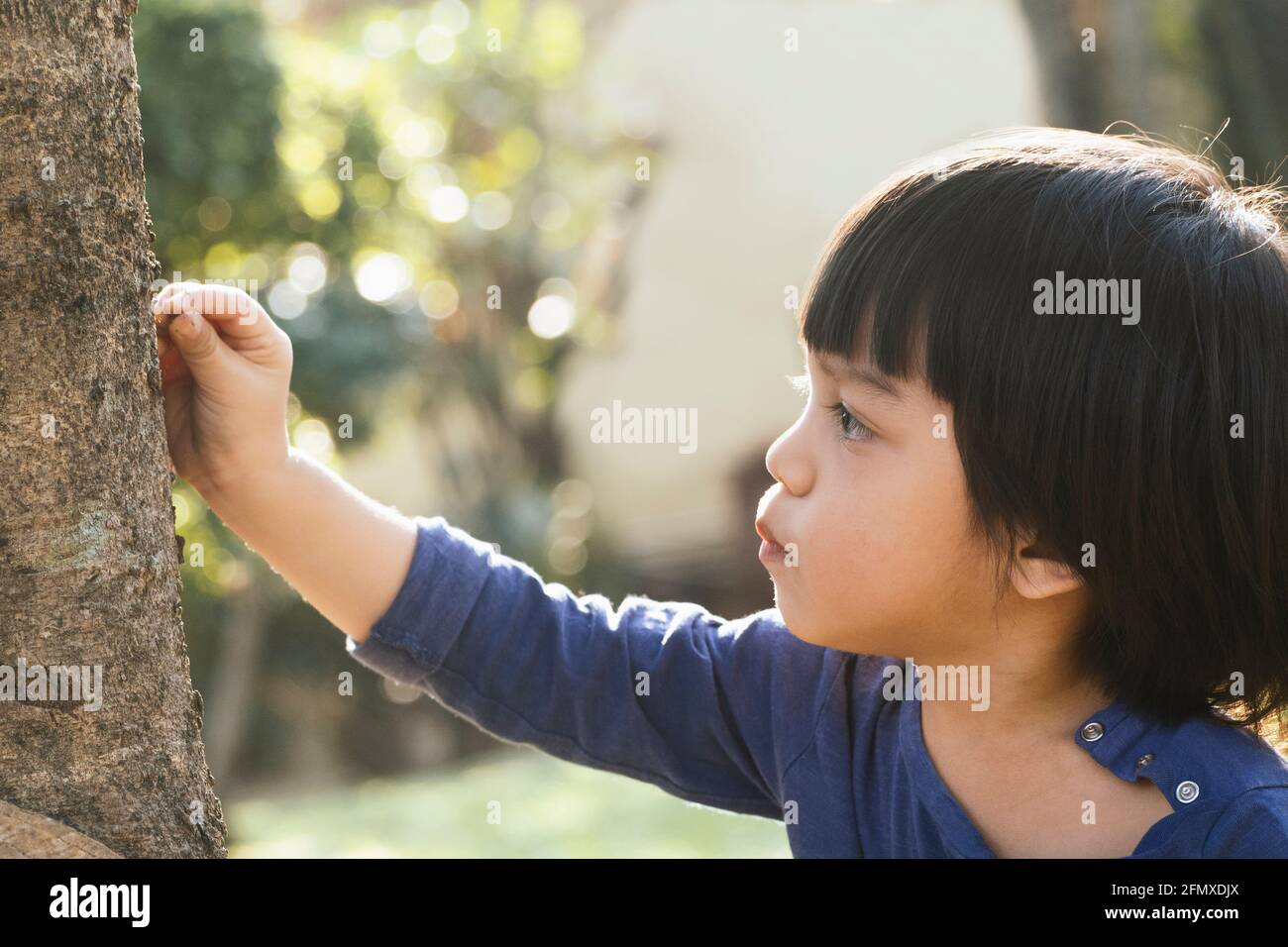 bambino asiatico che tocca ed esplora il tronco dell'albero per imparare sulla vita della natura nel giardino all'aperto. infanzia inquietante. bambino che esplora il mondo aro Foto Stock