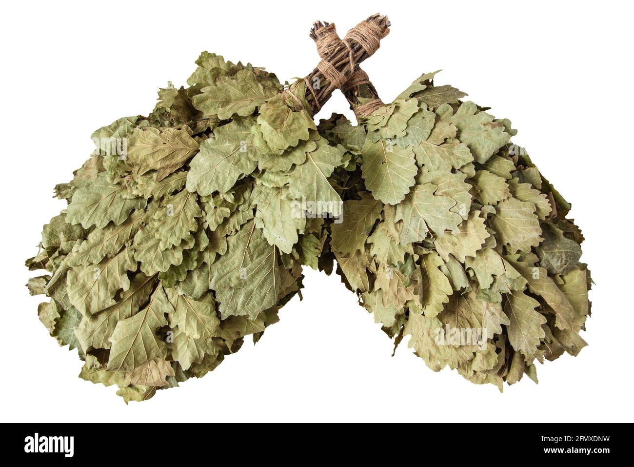 Due scopa da bagno a secco in rami di quercia isolati su sfondo bianco. La scopa è uno degli elementi della cultura tradizionale dei bagni in Russia Foto Stock