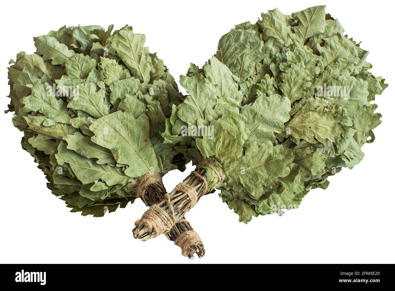 Due scopa in rami di quercia per il bagno turco, sauna, bagno isolato su fondo bianco. Primo piano Foto Stock