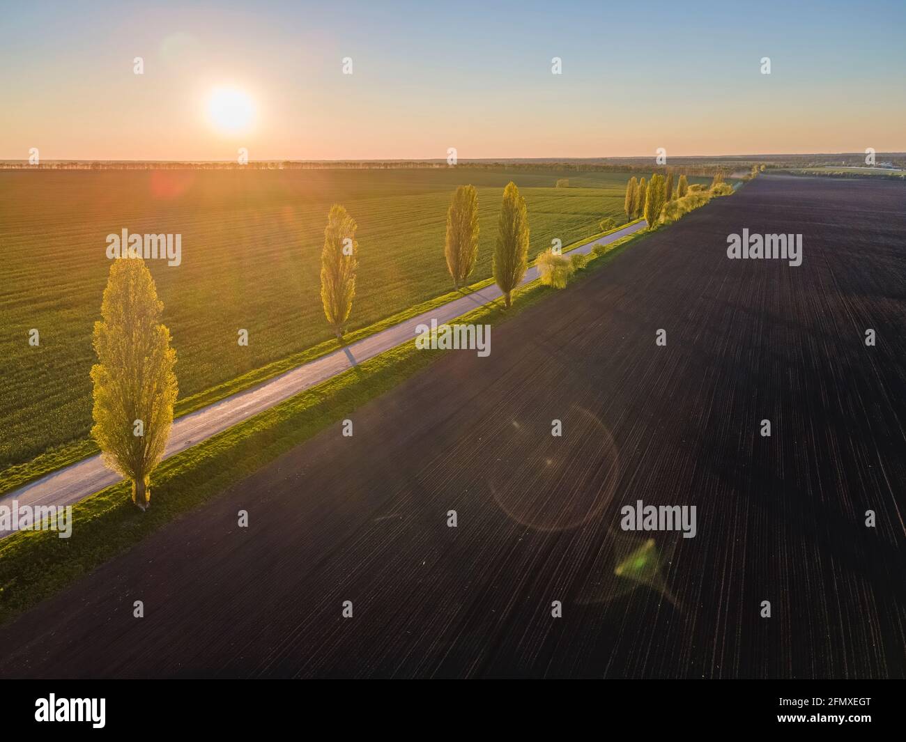 Strada in campagna illuminata dal sole della sera. Foto drone Foto Stock
