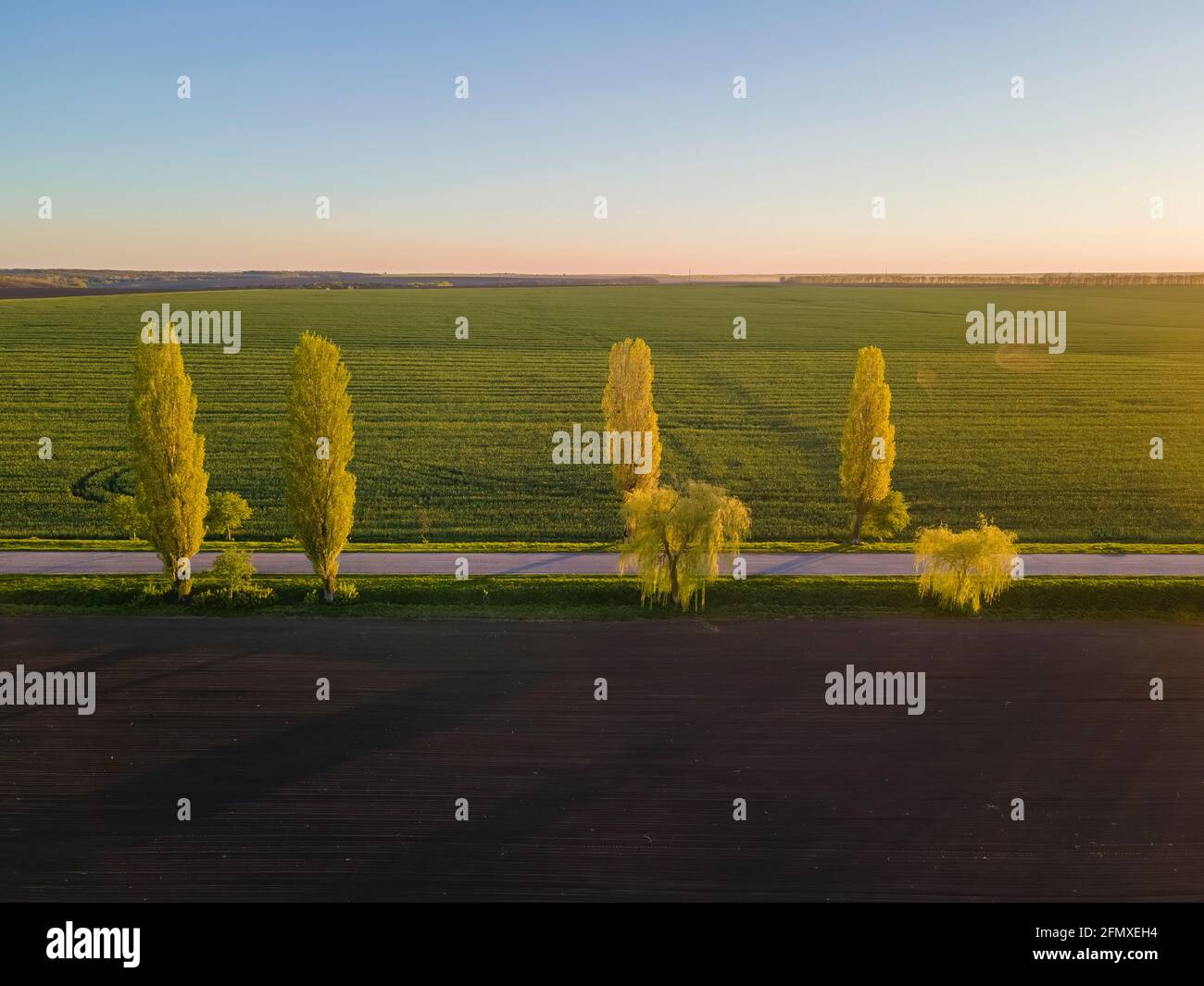 Strada di campagna e campi coltivati. Foto aerea Foto Stock
