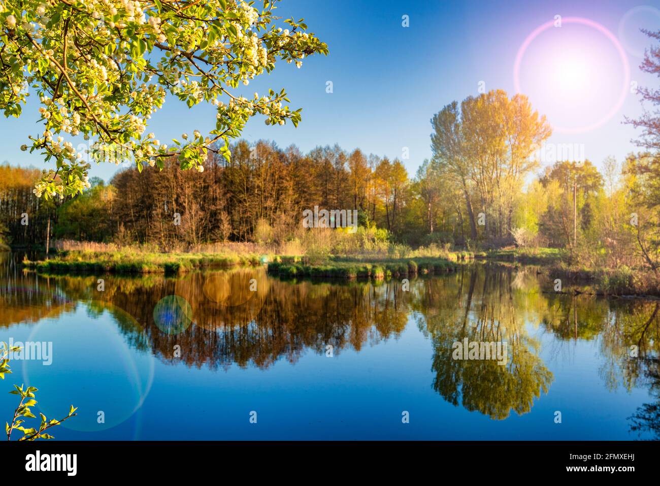 Primavera sul lago specchio. Paesaggio colorato con lago blu chiaro, mela fiorente e luce solare. Fuoco selettivo su albero. Foto Stock