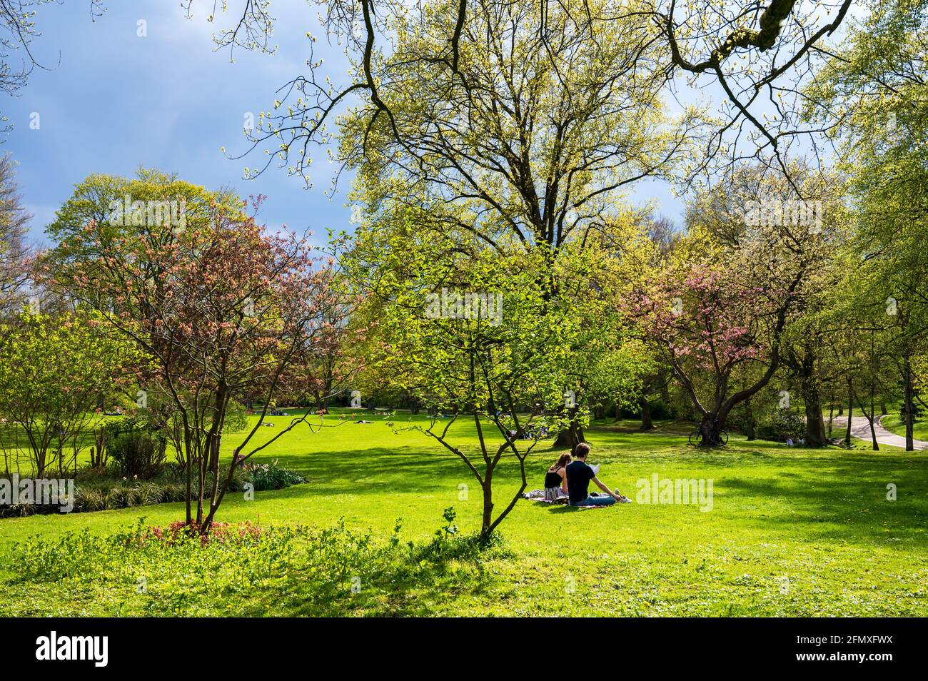 Der Diederichsenpark a Kiel eine Parkanlage im Frühjahr Foto Stock