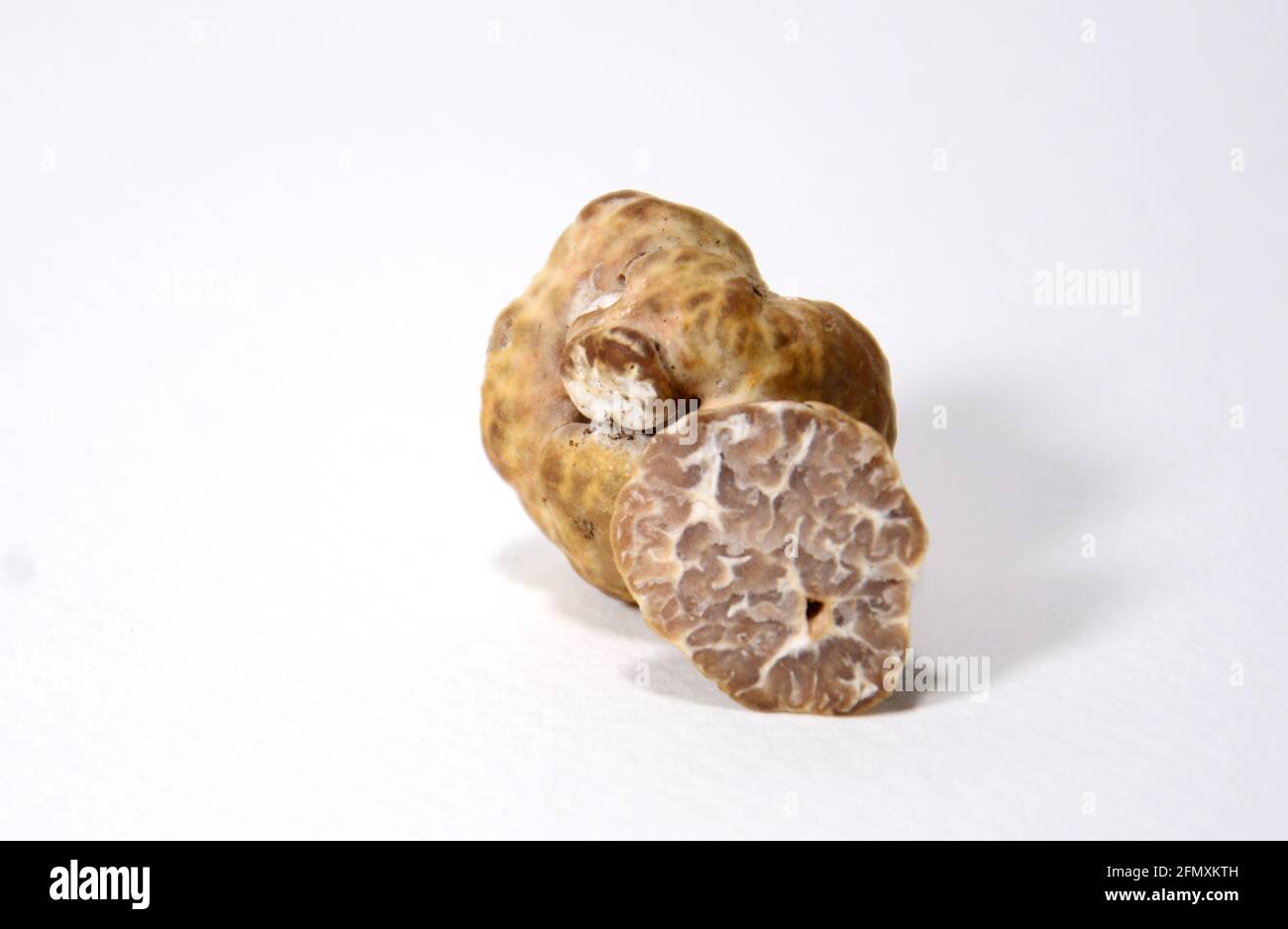 tartufo bianco isolato su sfondo bianco/nero Foto Stock