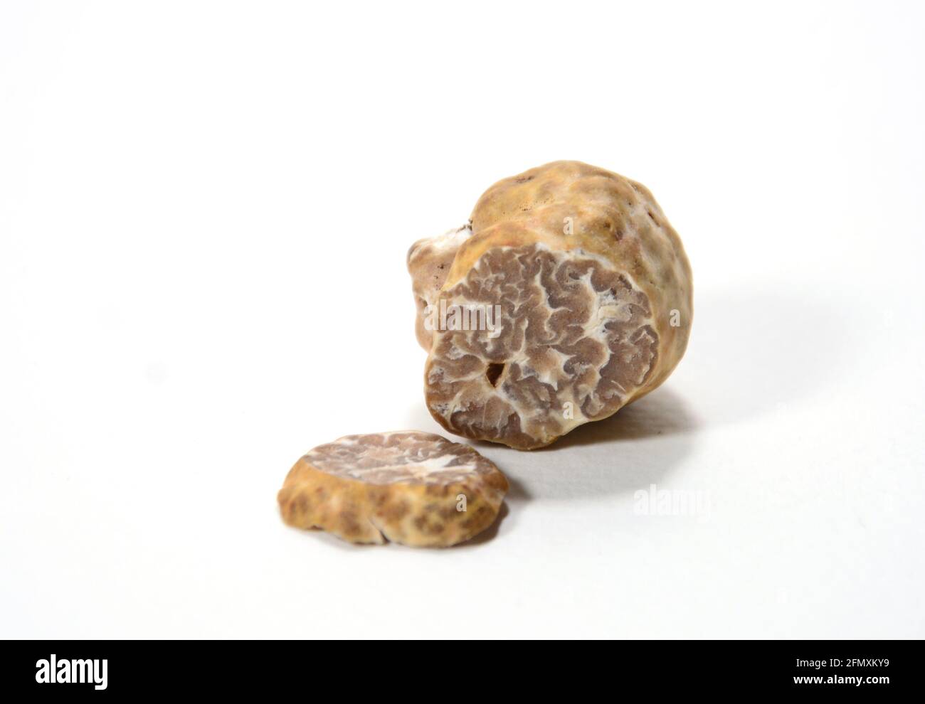 tartufo bianco isolato su sfondo bianco/nero Foto Stock