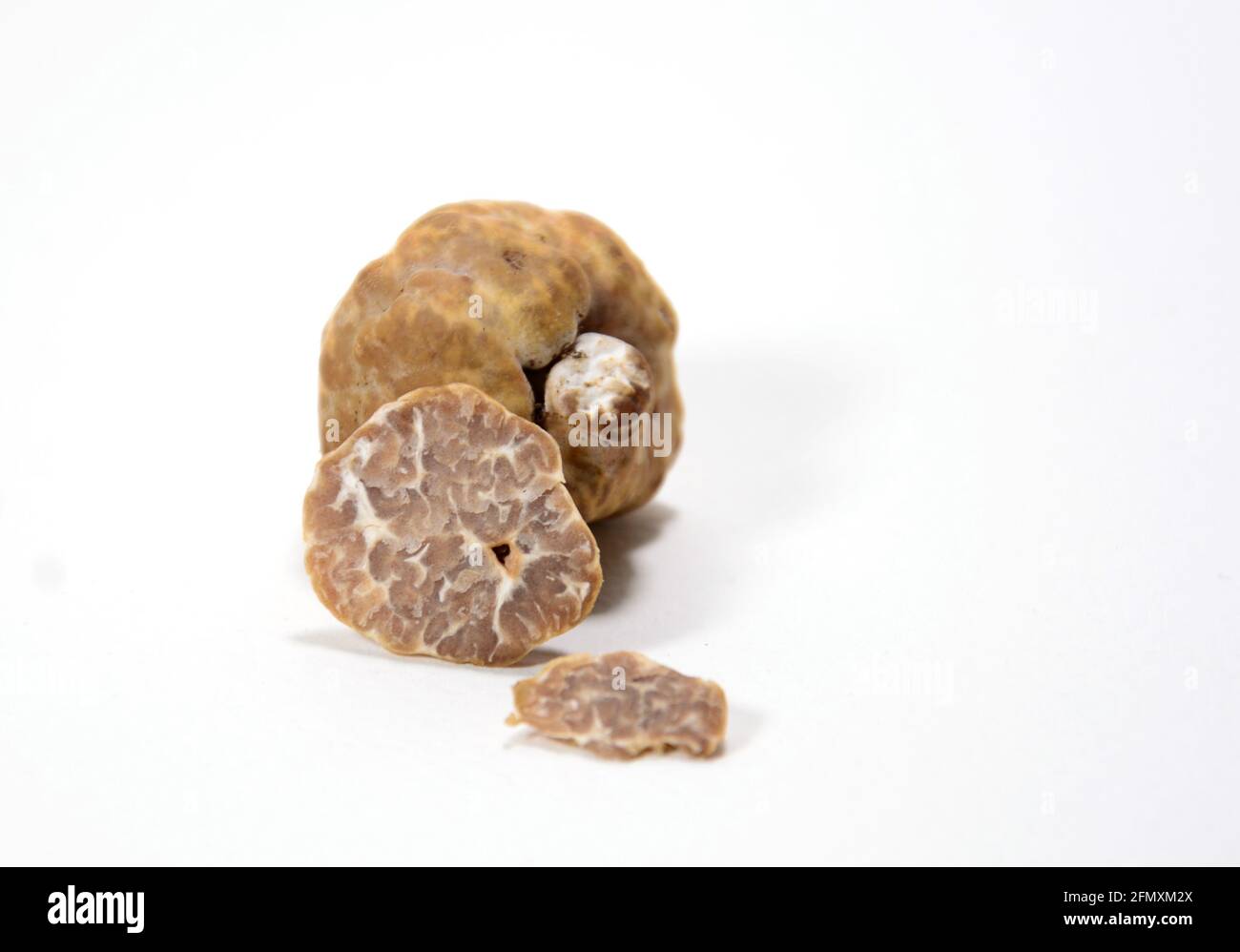 tartufo bianco isolato su sfondo bianco/nero Foto Stock