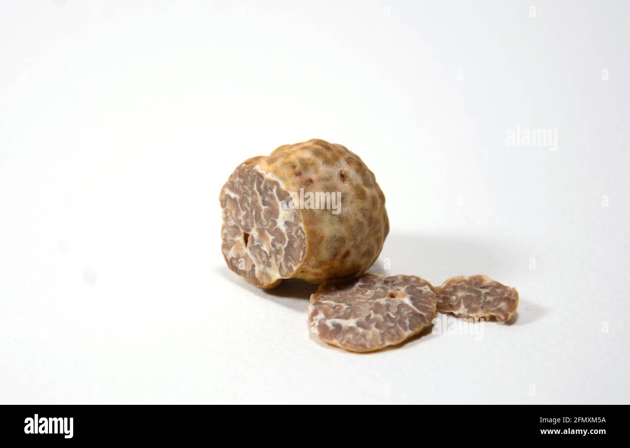 tartufo bianco isolato su sfondo bianco/nero Foto Stock