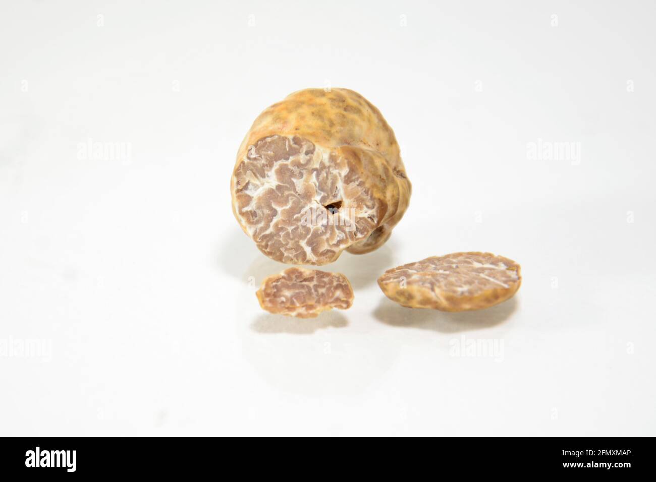 tartufo bianco isolato su sfondo bianco/nero Foto Stock