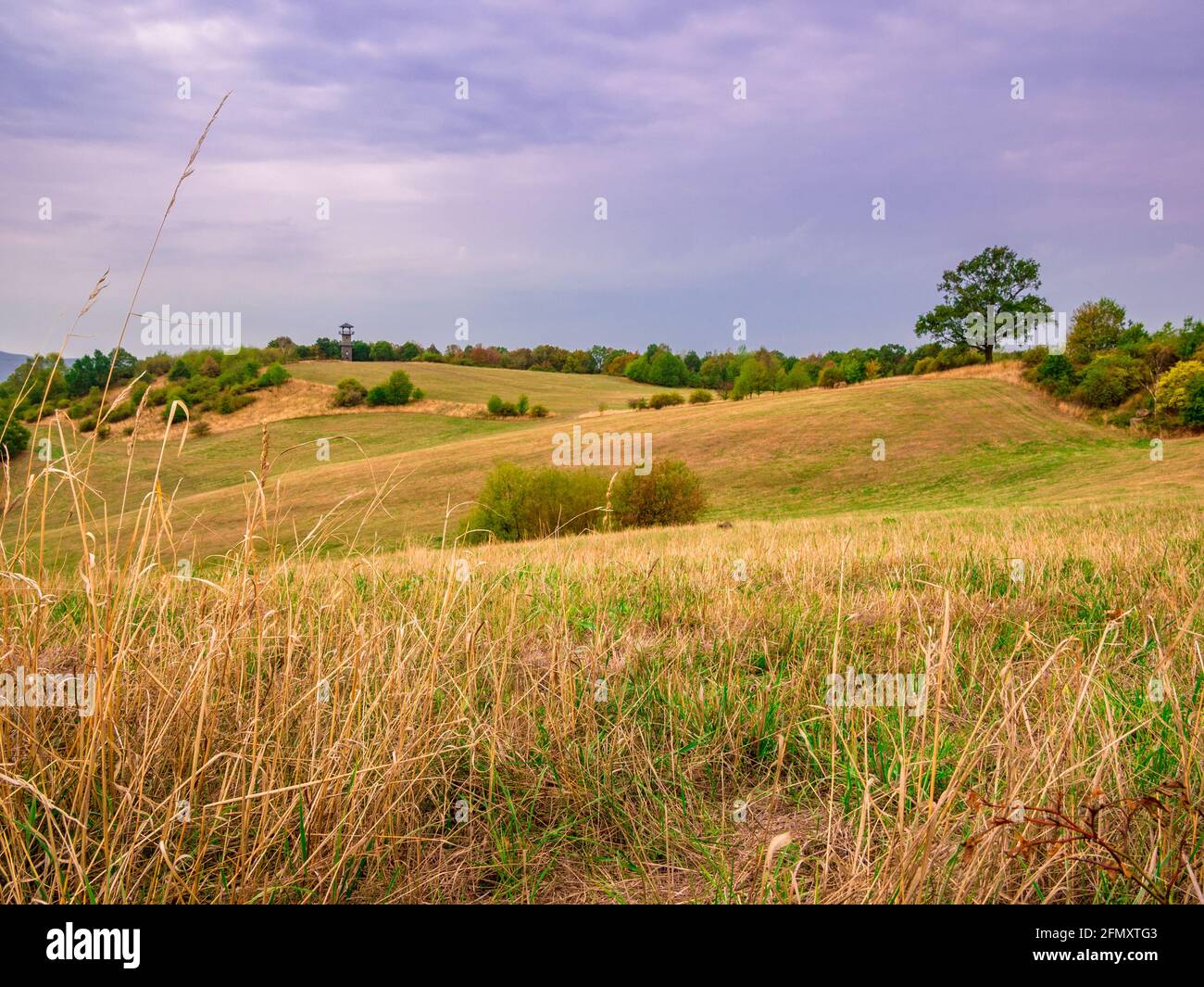 Prati ondulati e semi-secchi con una torre di osservazione in lontananza e cielo nuvoloso Foto Stock