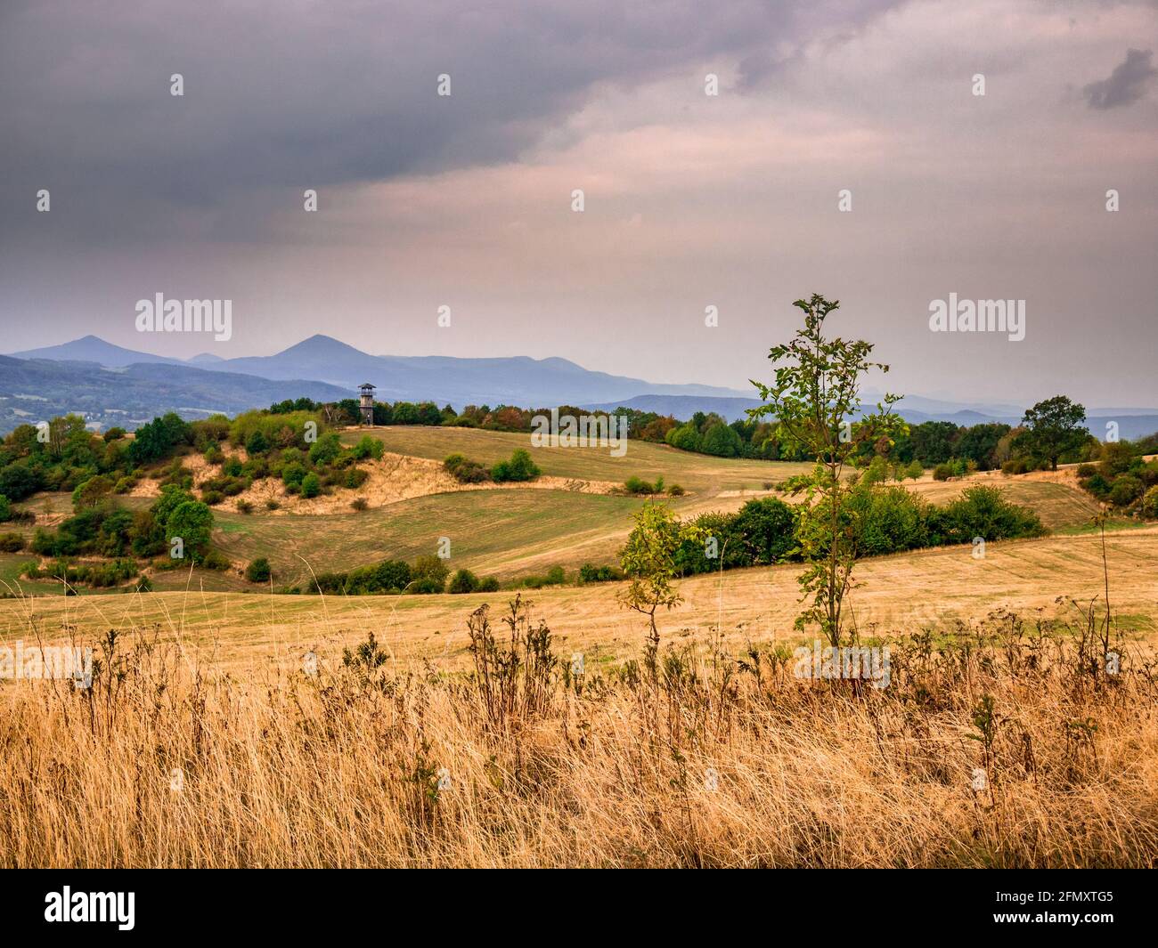 Prati semi-secchi con una torre di osservazione in lontananza e. nuvole di pioggia scure e pesanti nel cielo Foto Stock