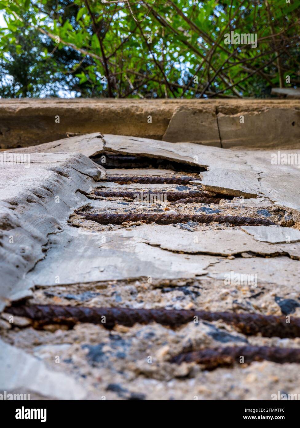 Vecchio muro di cemento sbriciolato con rinforzo in ferro esposto e arrugginito - la vista ad angolo basso rivela un folto fogliame che sovrasta la parete. Foto Stock