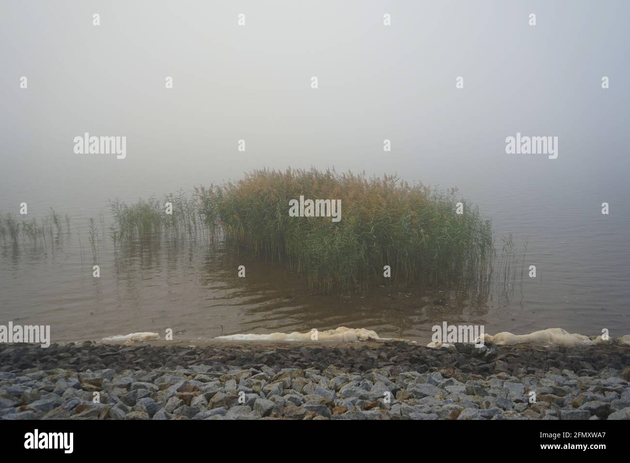 Nebbia nel nuovo paesaggio dopo l'estrazione mineraria a Brandeburgo. Prima c'era una miniera di lignite a cielo aperto. Foto Stock