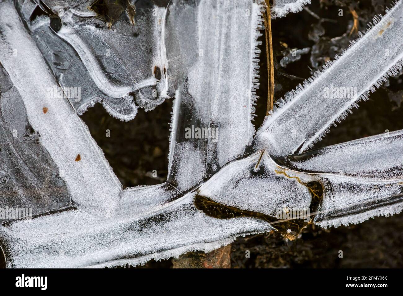 Cristalli di ghiaccio formati sulla superficie dell'acqua Foto Stock