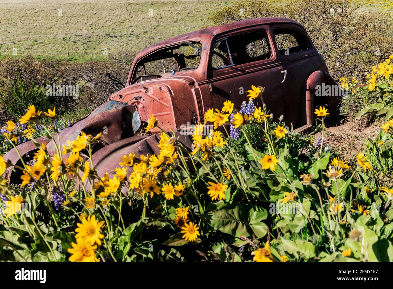 WA20203....WASHINGTON - abbandonare l'auto nel Columbia Hills Dalles Mountain state Park. Foto Stock