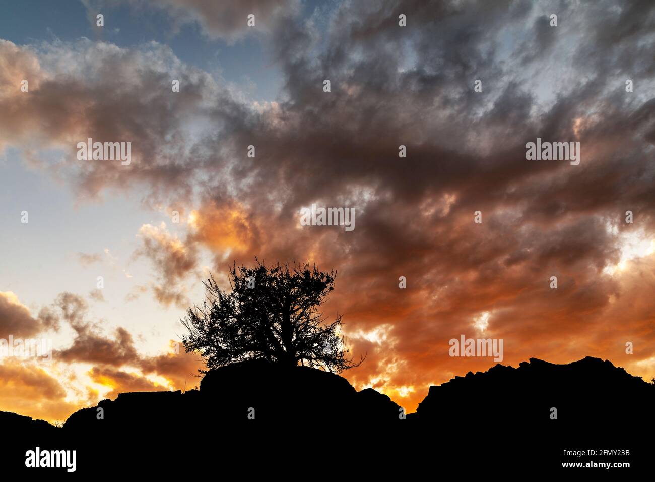 WA20220-00...... WASHINGTON - albero e nuvole al tramonto da Frenchman Coulee vicino Vantage. Foto Stock