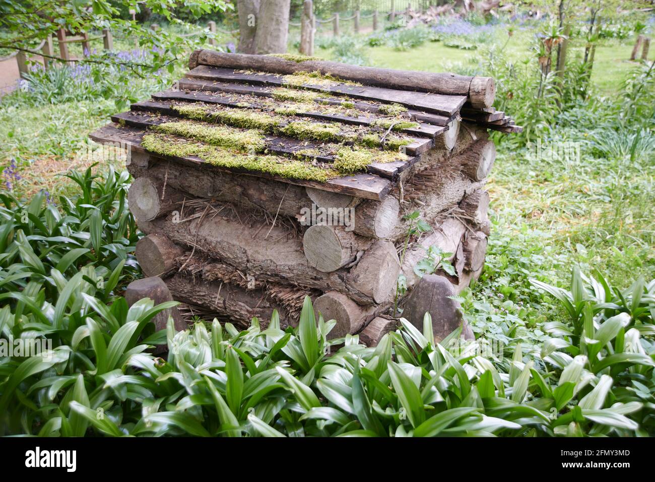 Bug Hotel o rifugio per la fauna selvatica per fornire condizioni asciutte e calde per nidificazione e ibernazione di insetti, invertebrati, in parte di un bosco naturale, Regno Unito. Foto Stock