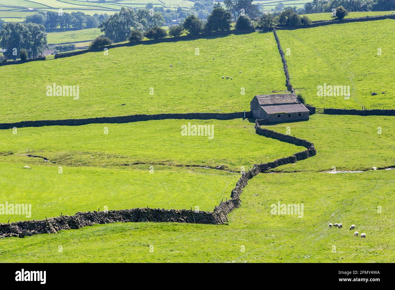 Fienile e pareti di campo vicino ad Austwick, Yorkshire Dales, Regno Unito Foto Stock