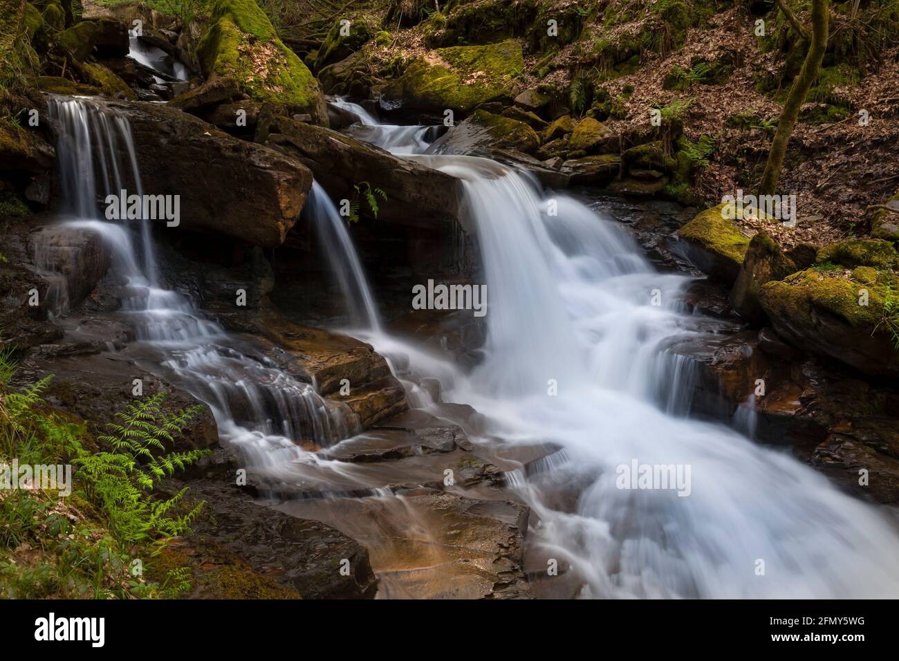 Il torrente che fornisce acqua alle cascate di Melicourt a Resolven, nella valle di Neath, Galles del Sud, Regno Unito Foto Stock