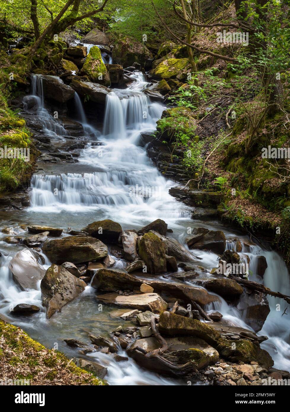 La grande cascata a Melincourt Brook a Resolven nella Valle di Neath nel Galles del Sud, Regno Unito Foto Stock