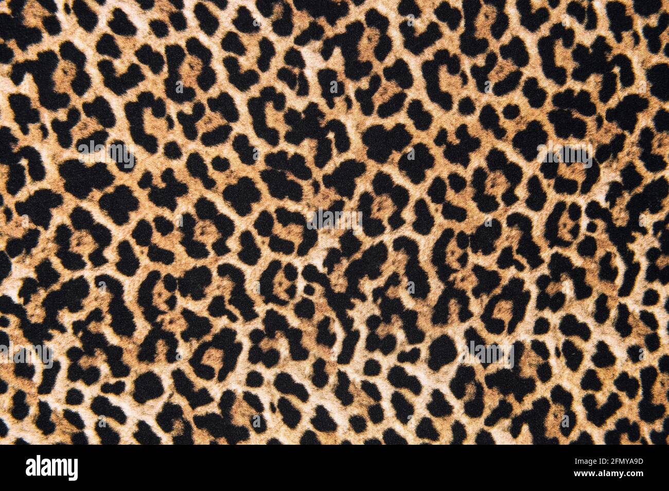 Tessitura tessile di stampa animale. Sfondo di disegno in pelliccia leopardata Foto Stock