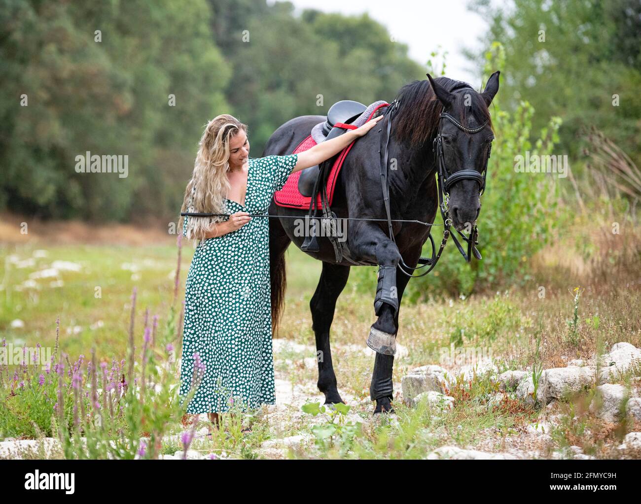 equitazione ragazza sono a piedi con il suo cavallo nero Foto Stock