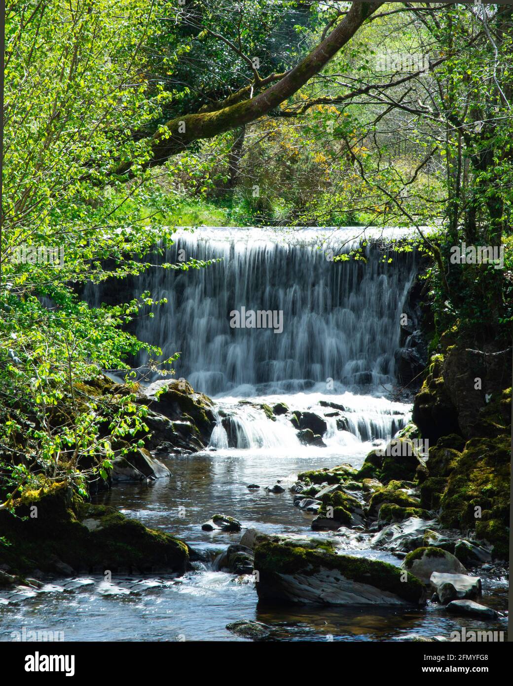 Lunga esposizione di un fiume, in Cadamstowm irlanda. Foto Stock