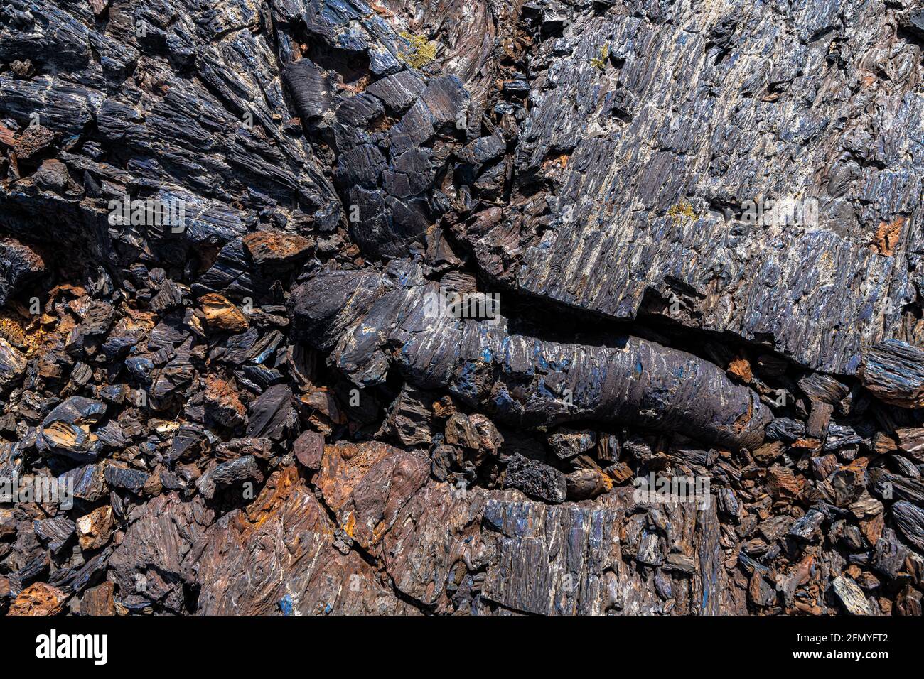 Area delle formine di alberi, monumento nazionale dei crateri della Luna, Idaho Foto Stock