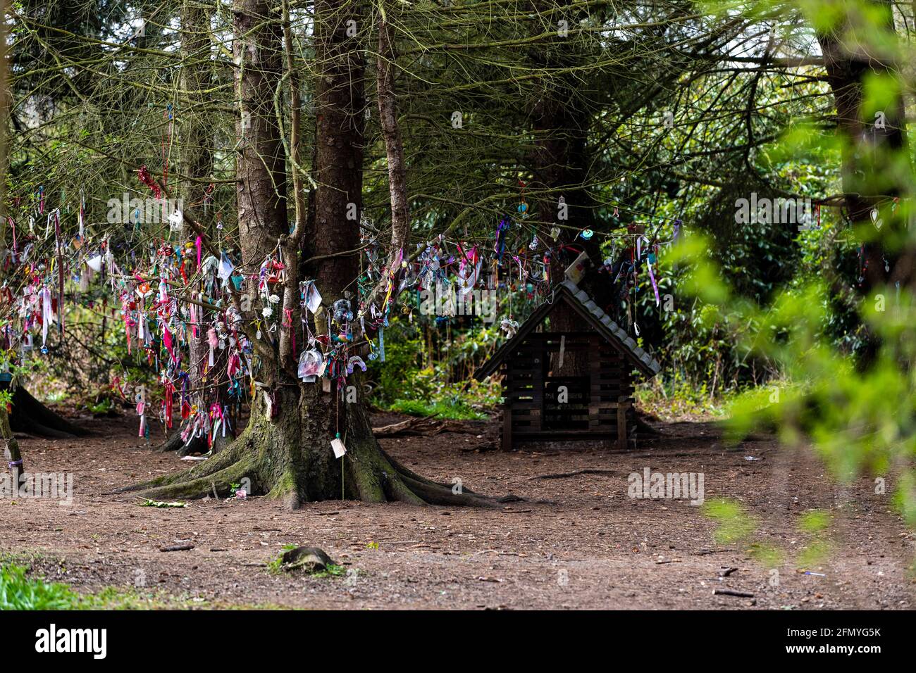 Paths for All, Dr Emma Lunan, Fullarton Woods, Isle of pin Rd, Troon Foto Stock