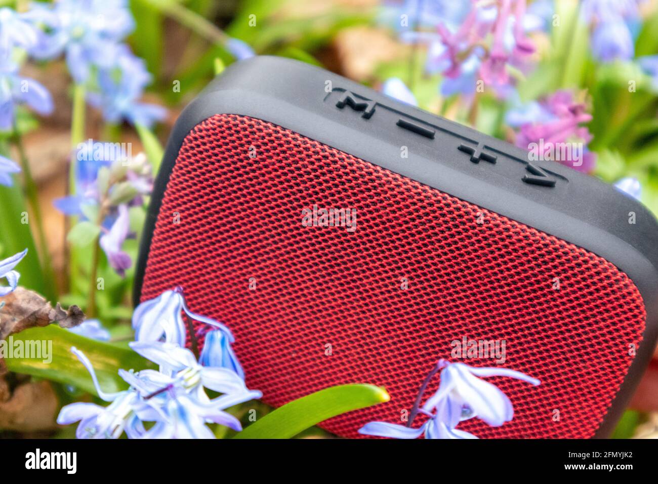 Altoparlante audio portatile rosso in un primo piano naturale. Fiore selvaggio primavera prato blu scilla fiori sfondo. Porta la musica con te all'aperto Foto Stock