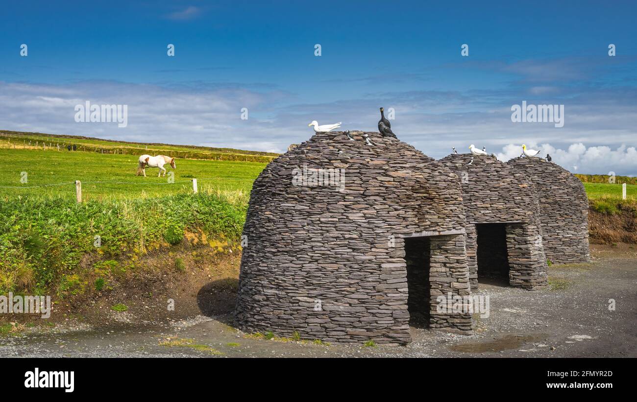 Case di pietra come un vento e ripari pioggia con uccelli marini artificiali in cima a Kerry Cliffs. Cavallo su un campo o pascolo, Ring of Kerry, Irlanda Foto Stock