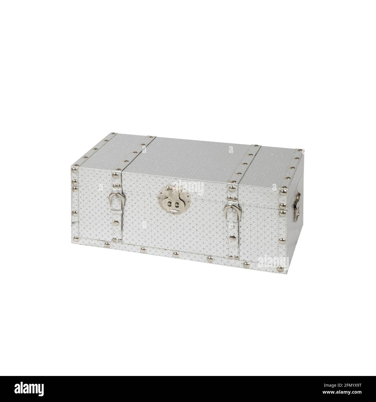 Cassa toracica in argento isolata su sfondo bianco Foto Stock