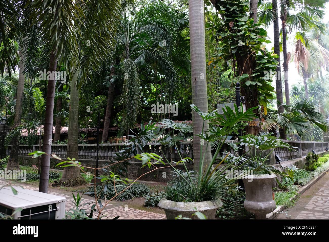 Iglesia de San Augustin, noto anche come Santuario Arcivescovile di Nuestra Señora de Consolacion y Correa o Immacolata Concezione. Filippine Foto Stock