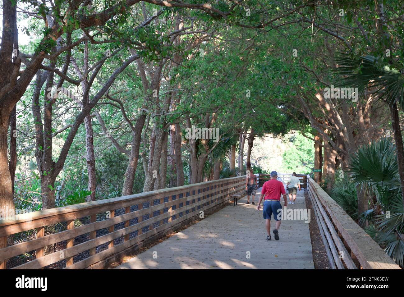 Persone che camminano sul lungomare sopraelevato a Wakodahatchee Wetlands, Delray Beach, Florida. Foto Stock