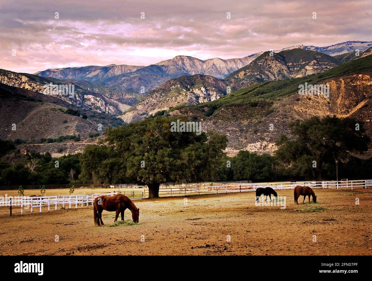 Rancho Oso, Los Padres National Forest, Santa Ynez Valley, California Foto Stock