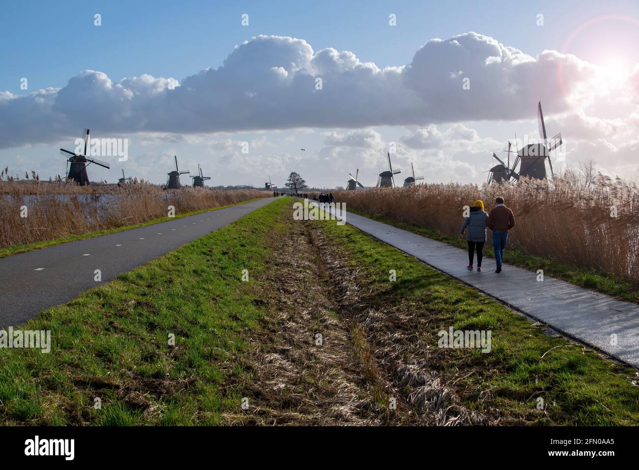 Windmill Holland o Nederland Kinderdijk, patrimonio dell'umanità dell'UNESCO Foto Stock