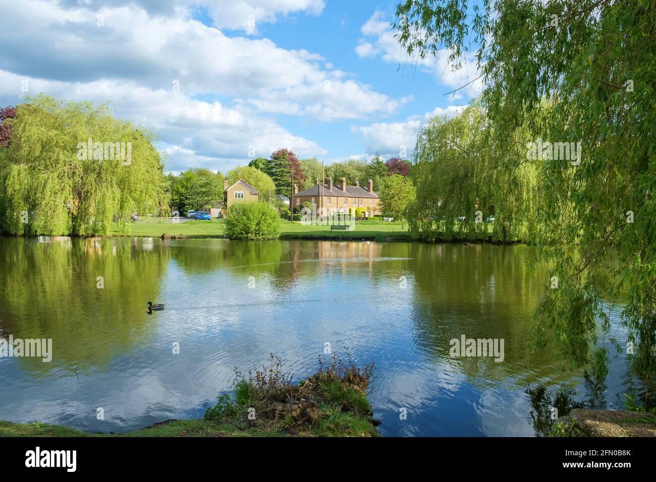 West End Village, Esher, Surrey, Inghilterra, Regno Unito. Villaggio inglese quintessential costruito intorno ad un laghetto di anatre. Foto Stock