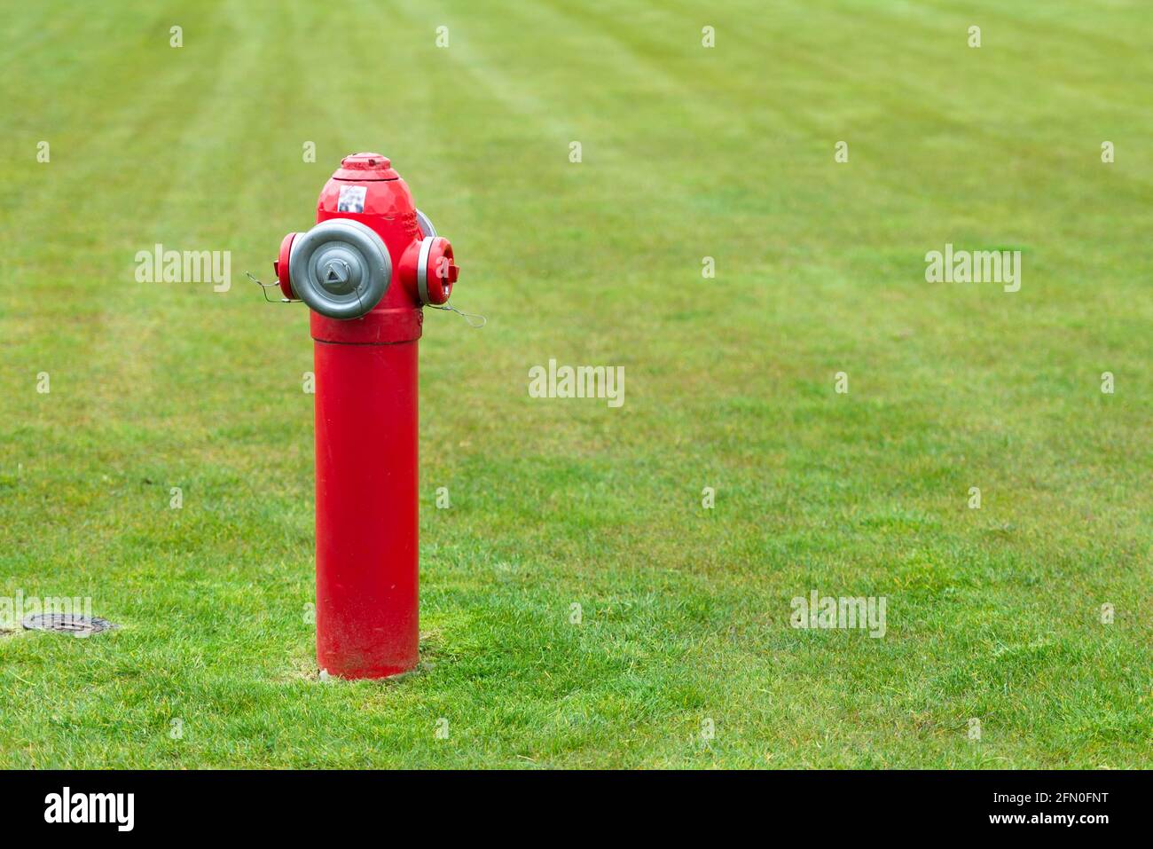 Idrante rosso sul prato. Idrante moderno su un campo di erba piatta rifilata. Foto Stock