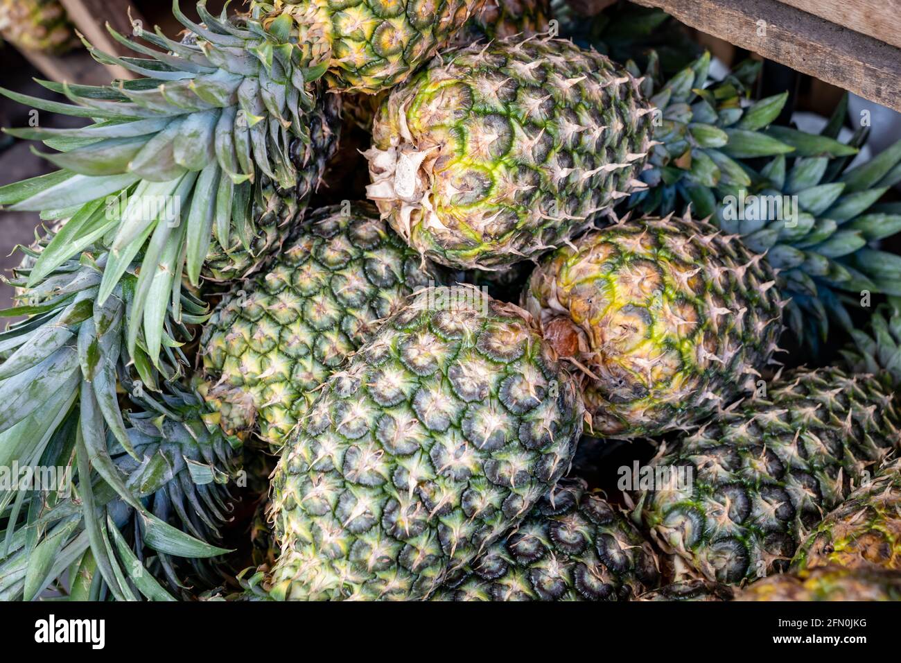 Ananas (ananas comosus) in vendita sul mercato di Belen a Iquitos, Perù Foto Stock