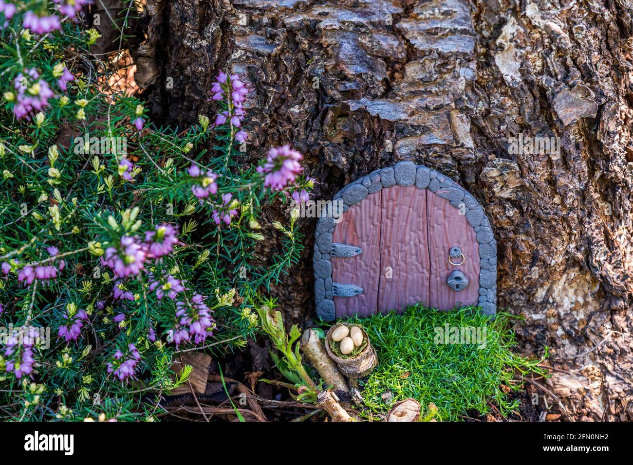 Argilla polimerica colorata e perno di rotolamento. Primo piano Foto stock  - Alamy