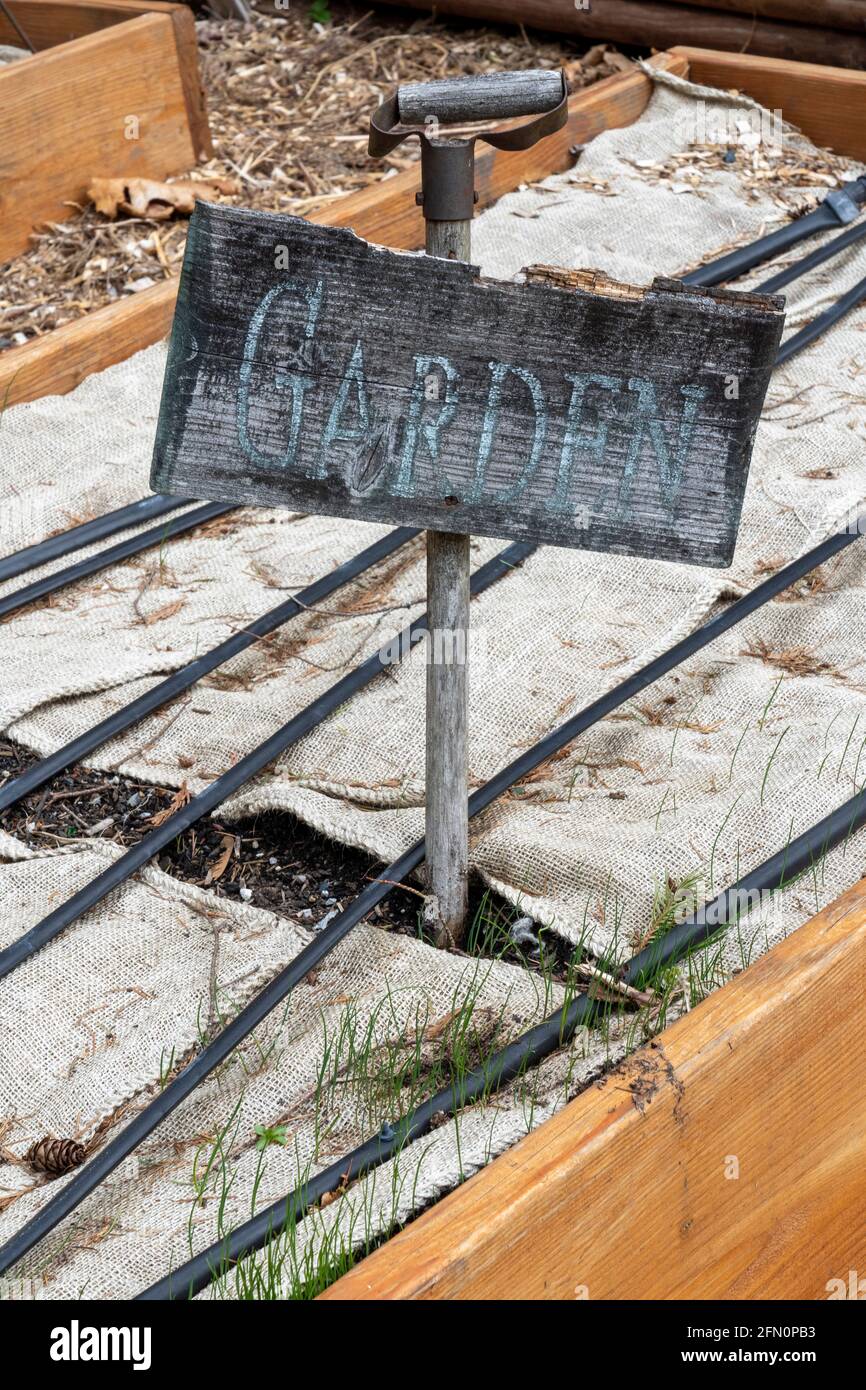 Issaquah, Washington, Stati Uniti. Dormiente giardino letto rialzato coperto da burlap con linee di irrigazione gocciolamento poggiante sulla parte superiore. Foto Stock