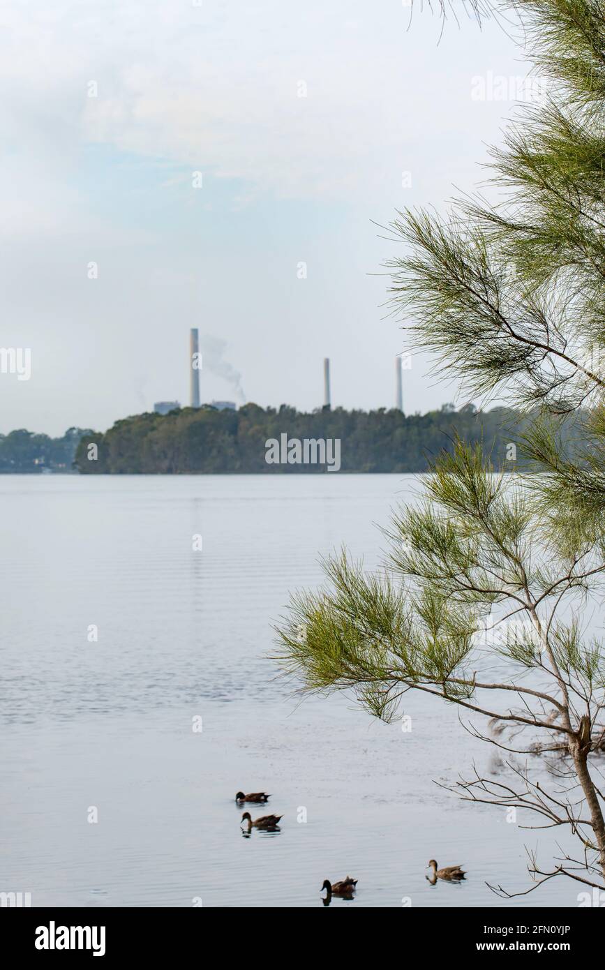 La centrale elettrica a carbone di Vales Point, vista dalle rive del lago Macquarie a Morisset, New South Wales, Australia, dovrebbe chiudersi nel 2029 Foto Stock