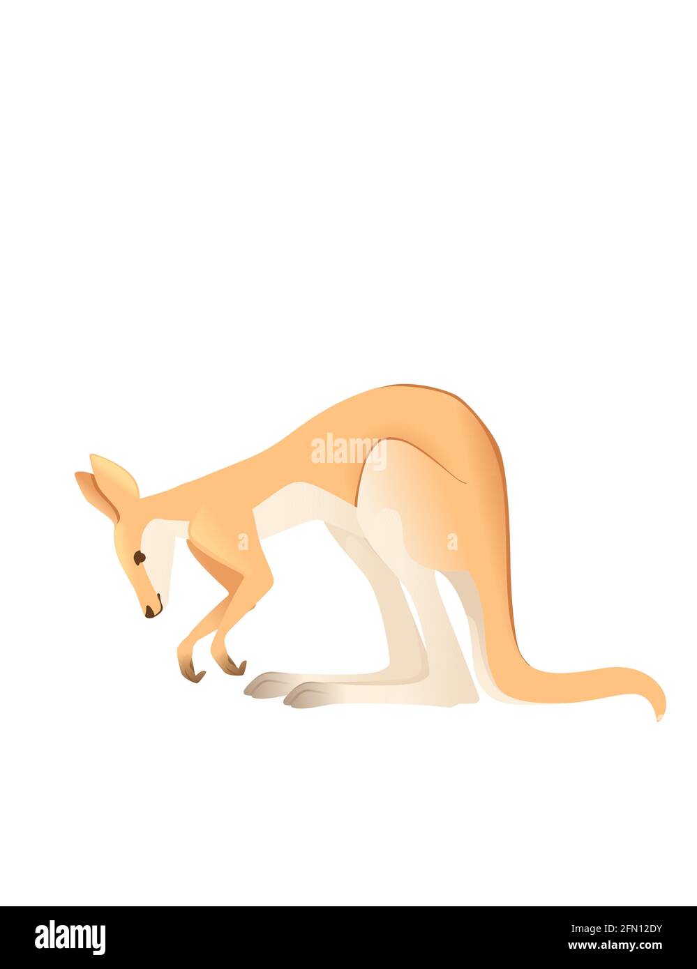 Carino adulto canguro australiano animale cartoon animale disegno vettoriale illustrazione isolato su sfondo bianco Illustrazione Vettoriale